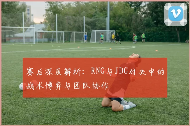 赛后深度解析：RNG与JDG对决中的战术博弈与团队协作