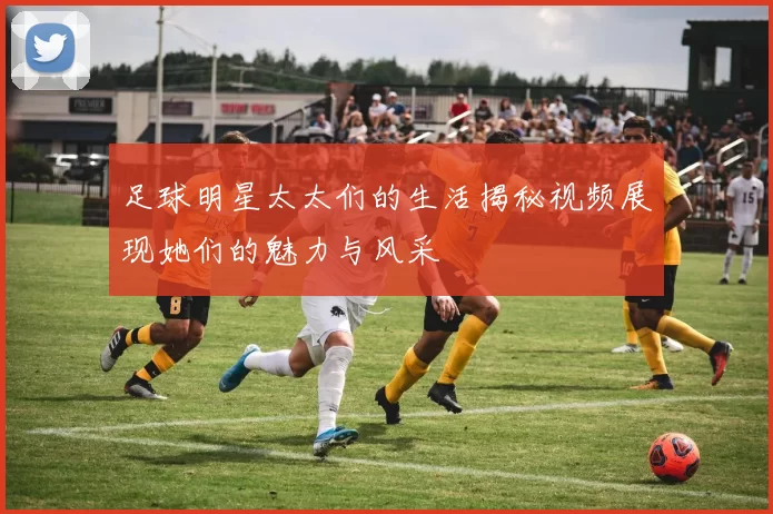 足球明星太太们的生活揭秘视频展现她们的魅力与风采