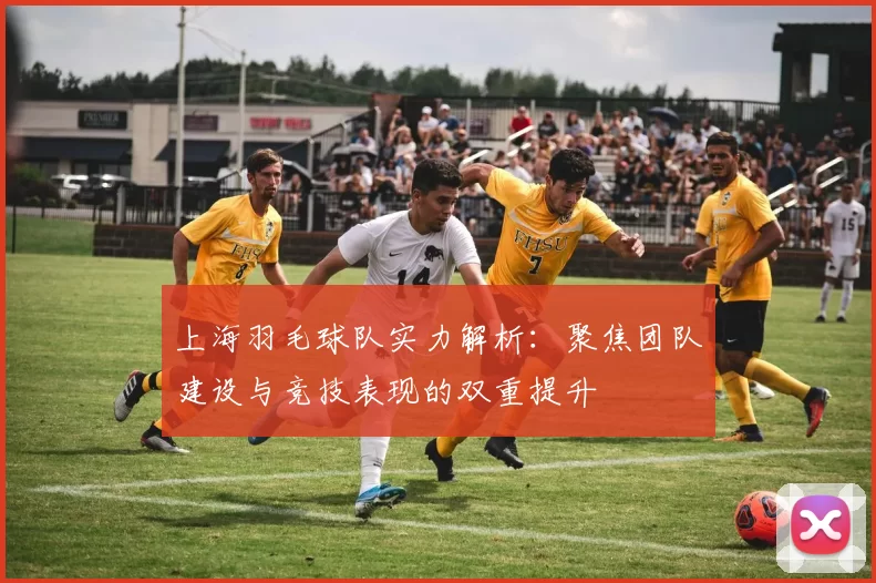上海羽毛球队实力解析：聚焦团队建设与竞技表现的双重提升