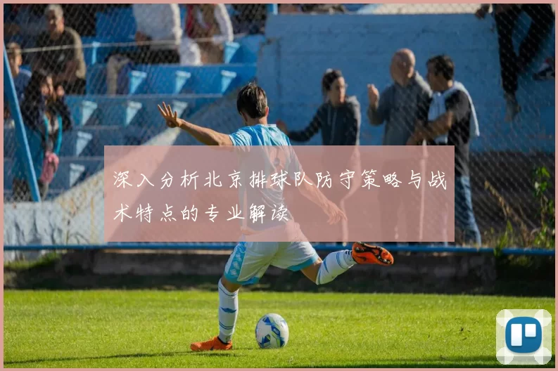 深入分析北京排球队防守策略与战术特点的专业解读