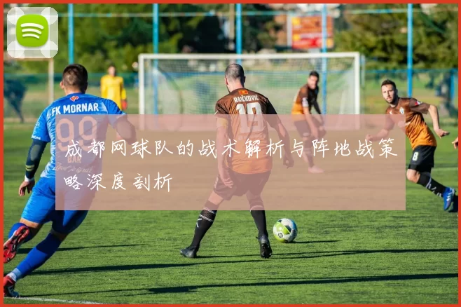 成都网球队的战术解析与阵地战策略深度剖析