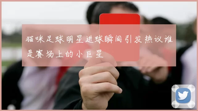 猫咪足球明星进球瞬间引发热议谁是赛场上的小巨星