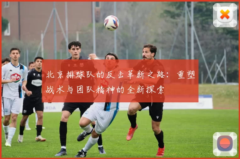 北京排球队的反击革新之路：重塑战术与团队精神的全新探索