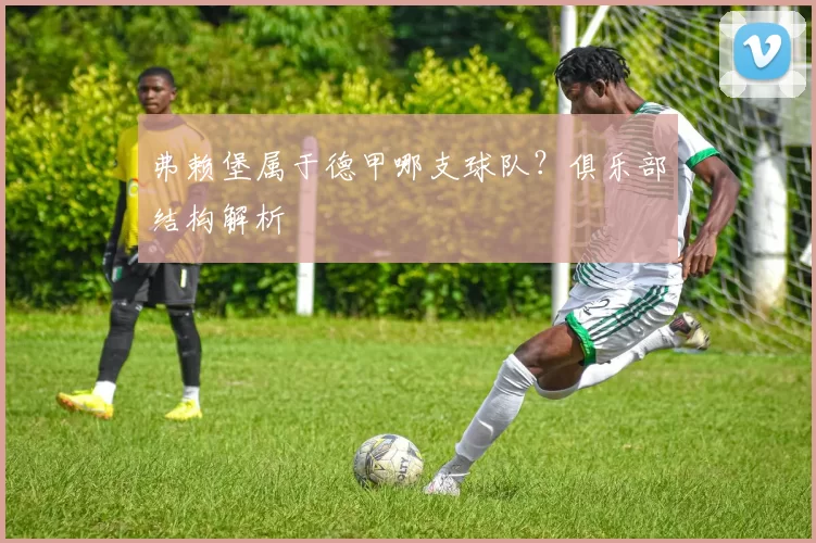 弗赖堡属于德甲哪支球队？俱乐部结构解析