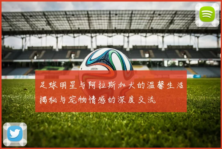足球明星与阿拉斯加犬的温馨生活揭秘与宠物情感的深度交流
