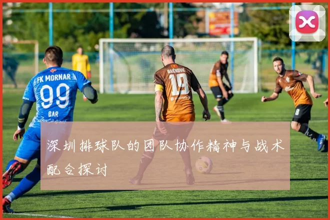 深圳排球队的团队协作精神与战术配合探讨