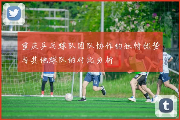 重庆乒乓球队团队协作的独特优势与其他球队的对比分析