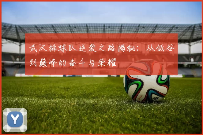 武汉排球队逆袭之路揭秘：从低谷到巅峰的奋斗与荣耀