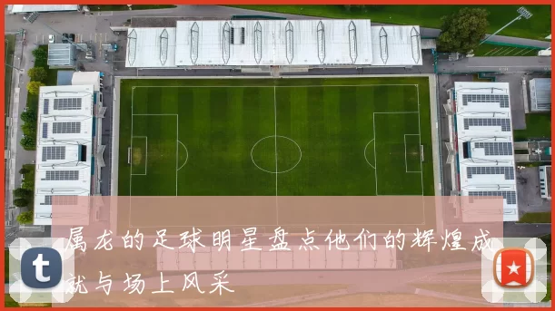 属龙的足球明星盘点他们的辉煌成就与场上风采