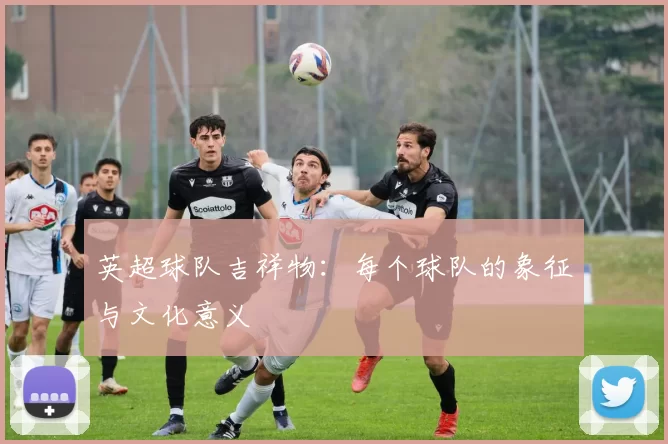 英超球队吉祥物：每个球队的象征与文化意义