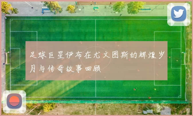足球巨星伊布在尤文图斯的辉煌岁月与传奇故事回顾