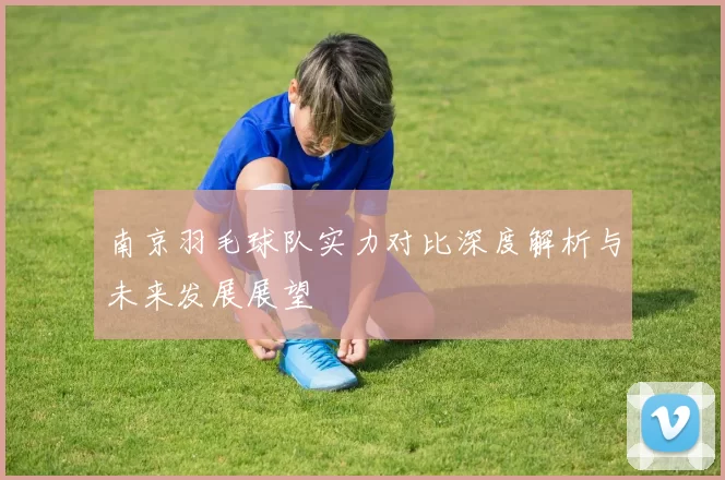 南京羽毛球队实力对比深度解析与未来发展展望