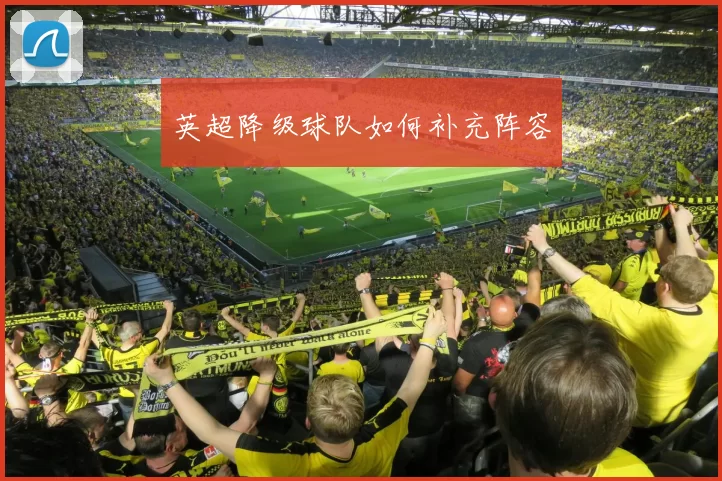 英超降级球队如何补充阵容