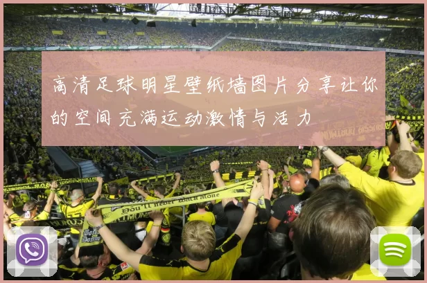 高清足球明星壁纸墙图片分享让你的空间充满运动激情与活力